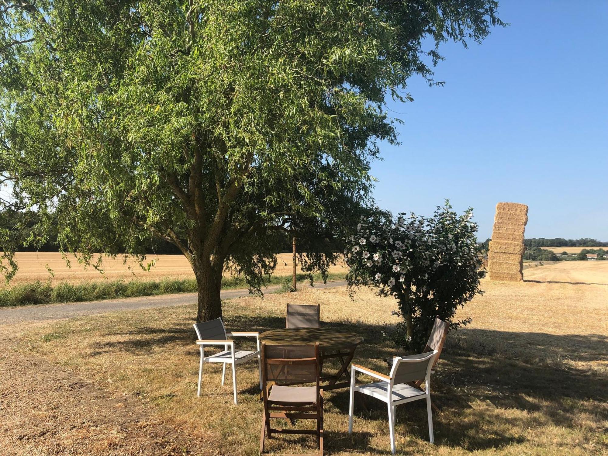 Gîte Loir en Vallée, 5 pièces, 8 personnes - FR-1-410-274 Ruille-Sur-Loir Exterior foto